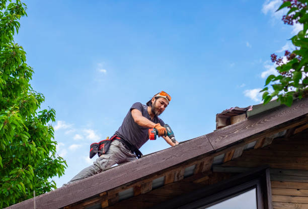 EPDM Roofing in Davis Junction, IL