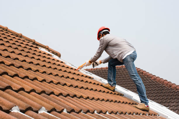  Davis Junction, IL Roofing repair and installation Pros