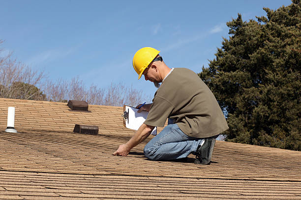 Fast & Reliable Emergency Roof Repairs in Davis Junction, IL