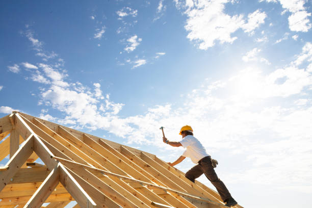 Best Metal Roofing Installation  in Davis Junction, IL